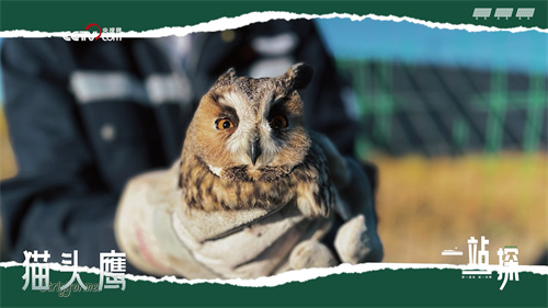 微信圖片_20240318105636.jpg 微信圖片_20240318105636.jpg