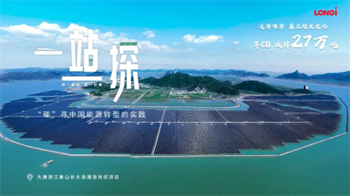 震撼！63.7萬(wàn)塊隆基組件建起灘涂上的鋼鐵森林