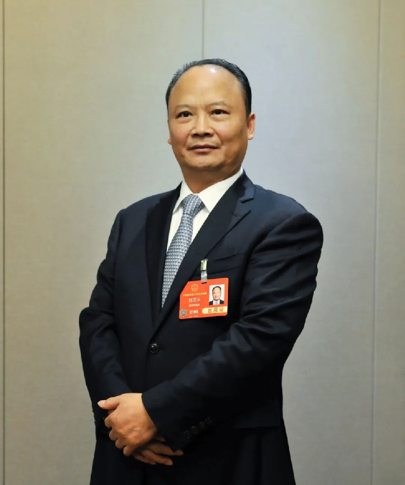 全國人大代表劉漢元：建議擴大國內光伏裝機，推進(jìn) “3060” 目標達成